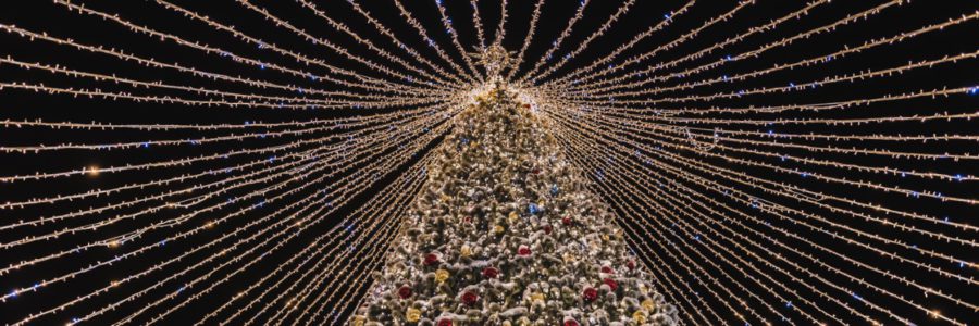Новогодние представления в Астраханском кремле украсит самая большая елка в городе